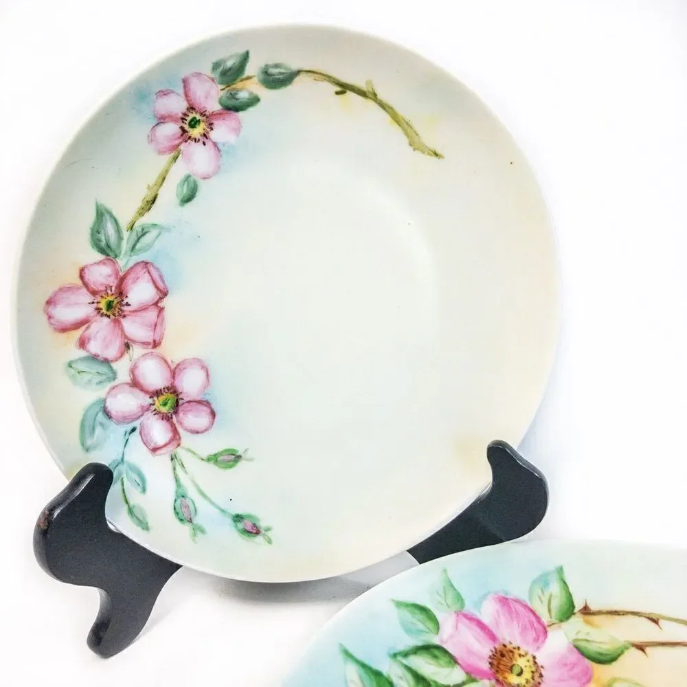 Antique Thomas Sevres Bavaria Hand Painted Signed Pink Dogwood Floral Plate